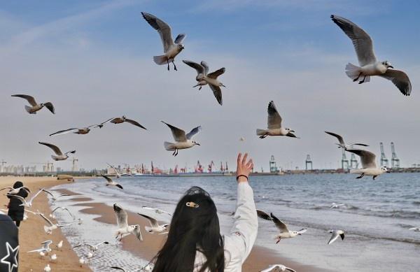 诗意海滨，秦皇岛的宜居画卷