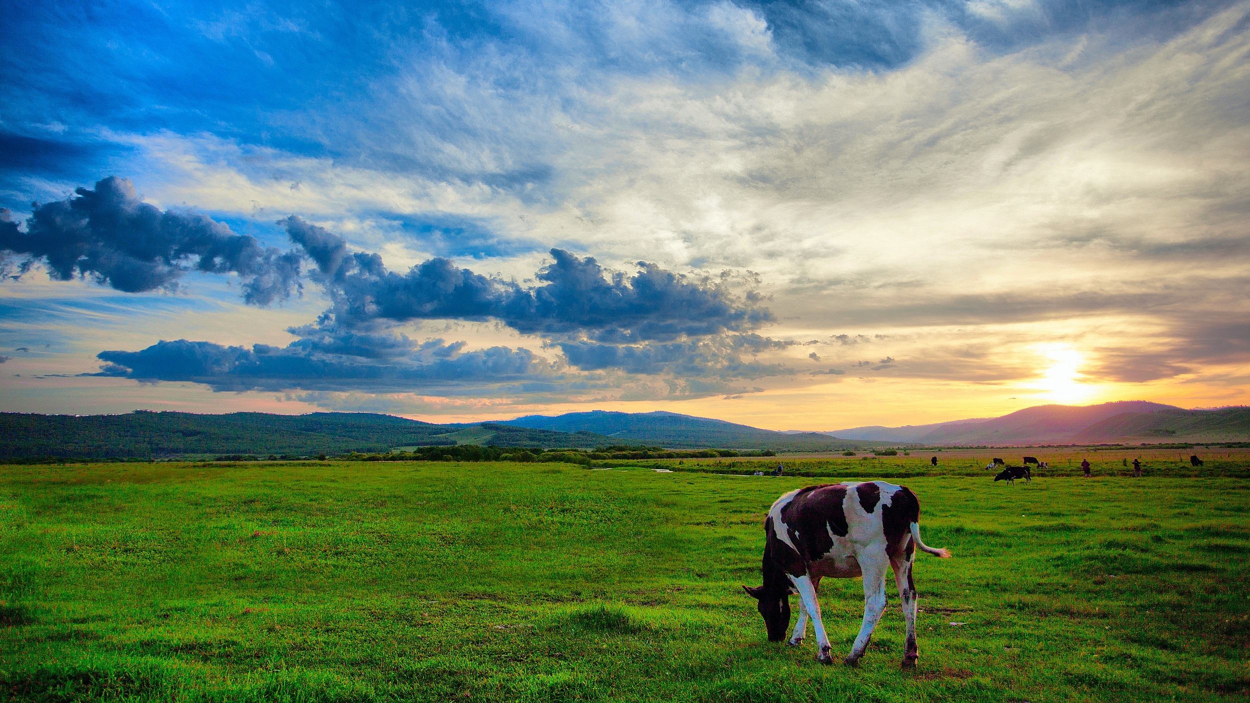 呼伦贝尔，梦想启航之地✨🌟